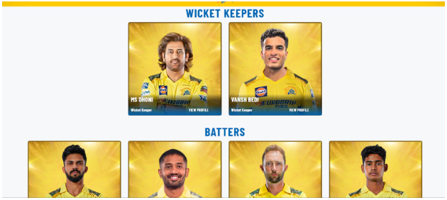 CSK Team Players CSK Team Players